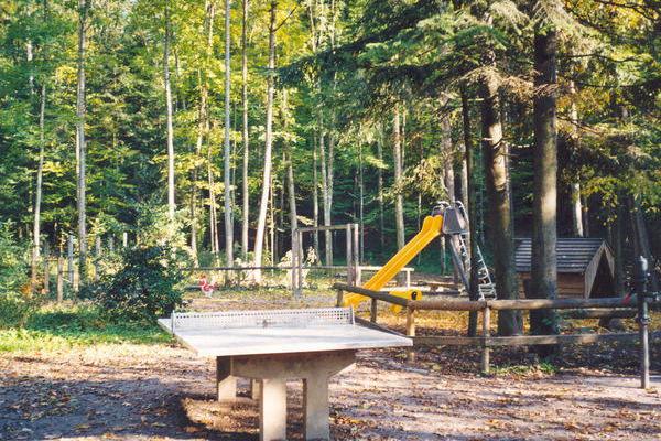 Waldspielplatz am Einbollen mit Blick auf die Tischtennisplatte und Rutsche