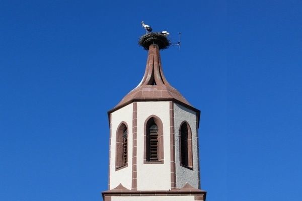 Der Storchenturm mit zwei Störchen stehend im Storchennest