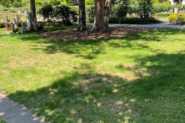 Anonyme Urnengr&auml;ber - Gr&uuml;nfl&auml;che vor B&auml;umen auf dem Friedhof Denzlingen