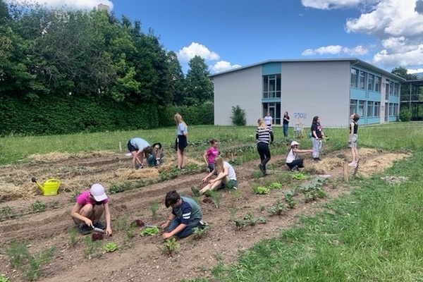 Fleißige Schülerinnen und Schüler der Nachhaltigkeits-AG und der „GartenKids“ bei der Anlage und Pflege des Schulgartens Fleißige Schülerinnen und Schüler der Nachhaltigkeits-AG und der „GartenKids“ bei der Anlage und Pflege des Schulgartens