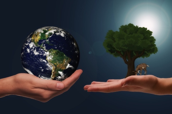 links Planet Erde in einer menschlichen Hand, rechts ein Laubbaum und ein grasendes Reh in menschlicher Hand