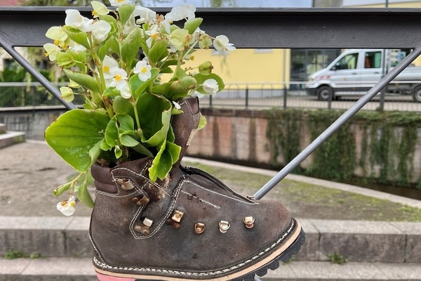 Wanderstiefel, bepflanzt mit weißen Begonien und an einer Brüstung befestigt Wanderstiefel, bepflanzt mit weißen Begonien und an einer Brüstung befestigt