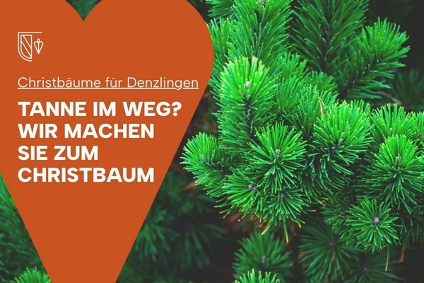 gr&uuml;ner Tannenbaum