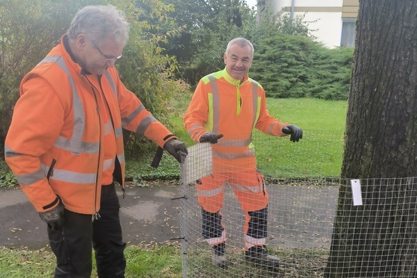 Arno Büche (links) und Robert Hoffmann vom Bauhof-Team stellen in Denzlingen Laubkörbe auf. Foto: Gemeinde Denzlingen Arno Büche (links) und Robert Hoffmann vom Bauhof-Team stellen in Denzlingen Laubkörbe auf. Foto: Gemeinde Denzlingen