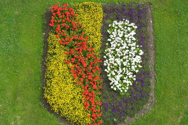 Blühende Pflanzen formen das Denlzinger Wappen