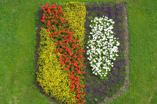 Blühende Pflanzen formen das Denzlinger Wappen