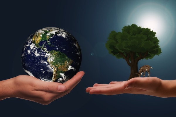 Zwei Hände, eine Hand trägt die Erdkugel, die andere einen Baum unter dem ein Reh steht; Quelle: Pixabay