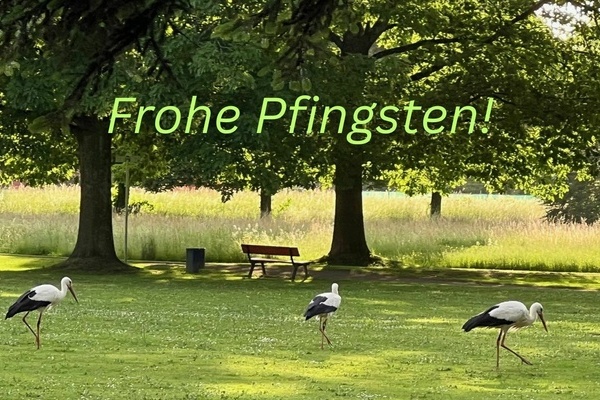 Drei Strche im Denzlinger Park. Foto: Melanie Lackner, Gemeinde Denzlingen