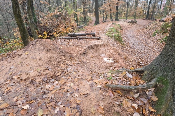 Bild: Illegale Erdarbeiten im Waldgebiet nahe dem Hallerhof in Richtung S&auml;ngerruh. Foto: Verbandsbauhof des GVVDVR