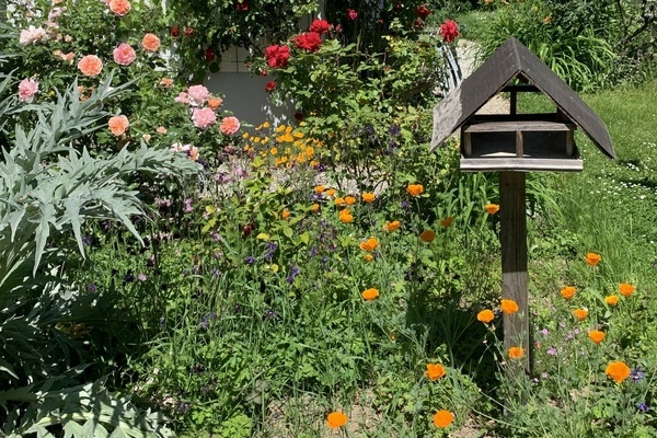 Einer der krzlich prmierten Denzlinger Naturgrten. Foto: Gemeinde Denzlingen.
