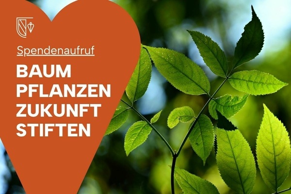 "Spendenaufruf - Baum pflanzen, Zukunft stiften" steht auf einer ziegleroten Herzgrafik. Im Hintergrund die gr&uuml;nen Bl&auml;tter eines Baumes
