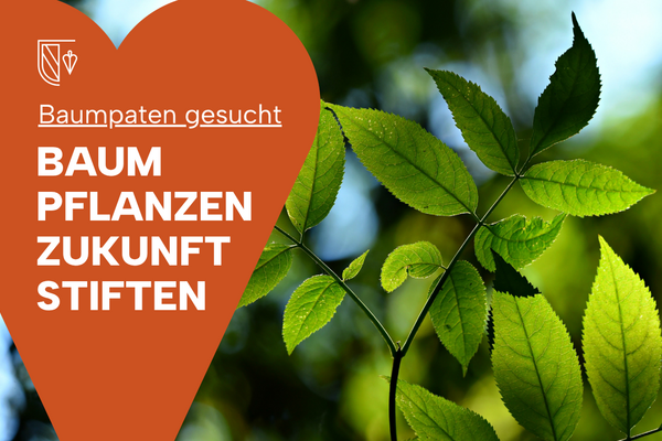 "Baumpaten gesucht - Baum pflanzen, Zukunft stiften" steht auf einer ziegleroten Herzgrafik. Im Hintergrund die gr&uuml;nen Bl&auml;tter eines Baumes