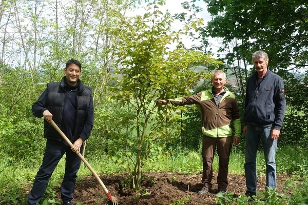 Foto: Gemeinde Denzlingen v.l.n.r. B&uuml;rgermeister Markus Hollemann, Claus Malzacher (Baumschule Malzacher), Mario Will (Gr&uuml;ntrupp Bauhof Denzlingen)