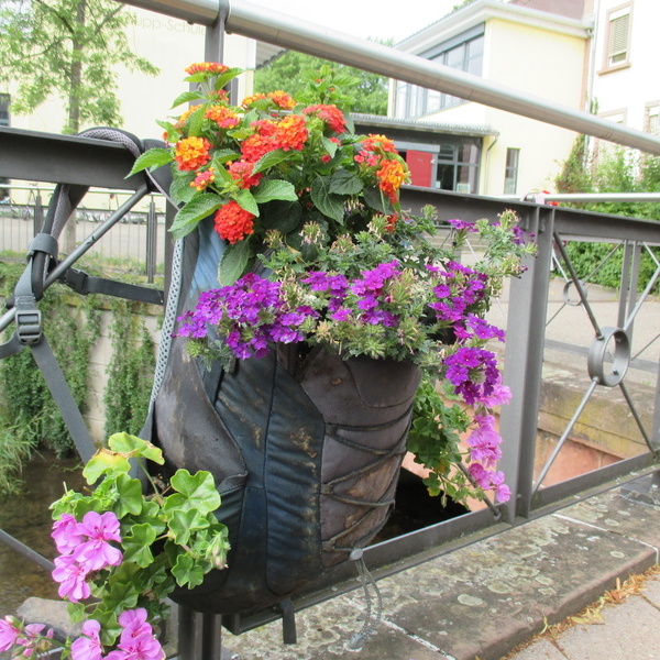 Ein alter Schulrucksack mit gepflanzten Blumen