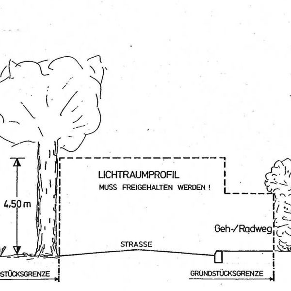 Schwarz-Wei Zeichnung mit gesetzlichen Hhenangaben/Lichtraumprofil fr Rckschnitte eines Baumes und von Hecken