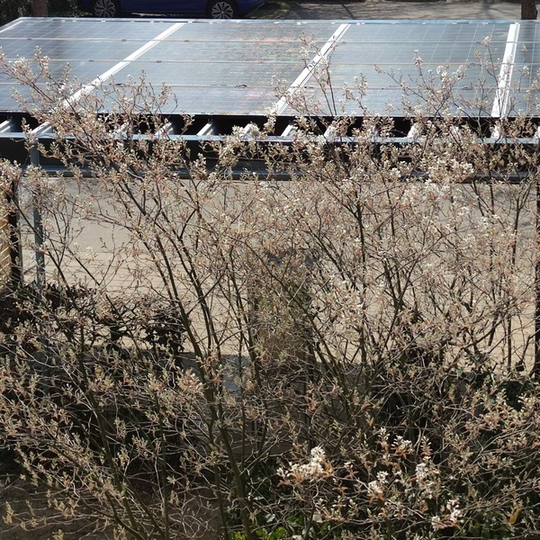 Solarcarport